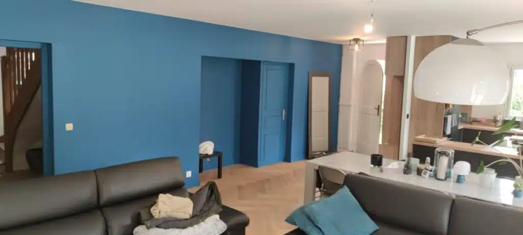 1000027987 Peinture appartement Paris 15 rénovation intérieure murs plafonds